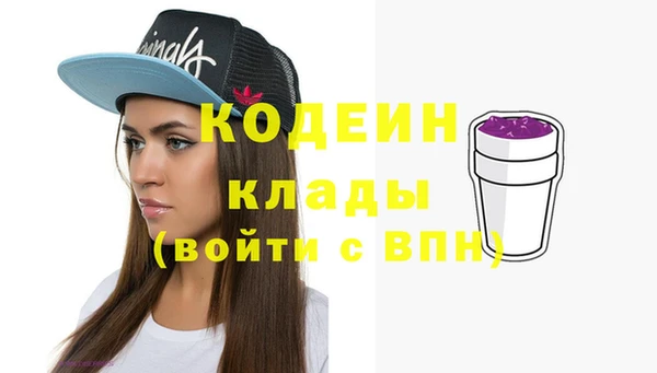 индика Липки