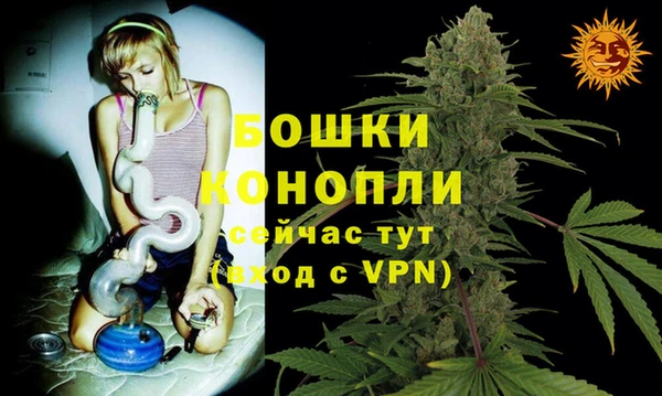 PSILOCYBIN Лабытнанги