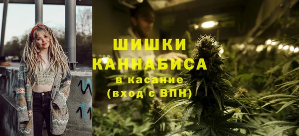 молекула духа Лагань