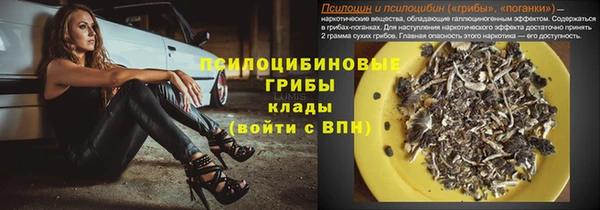 СК Мурманск